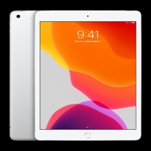 Tableta Apple iPad (7th Generation) 25.9cm (10.2) 128GB Almacenamiento iPad OS 4G Plata