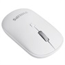 MOUSE PHILIPS M403 WHITE 2.4G WIRELESS MOUSE